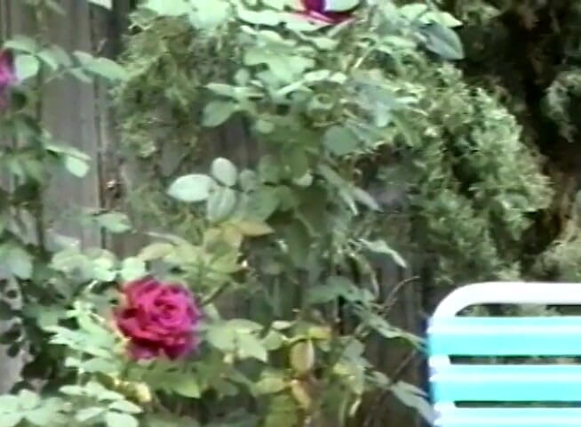 Vintage X: 輪姦私の妻