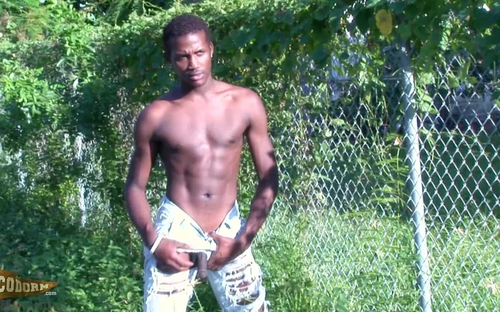 CocoDorm: Sexy Sylk