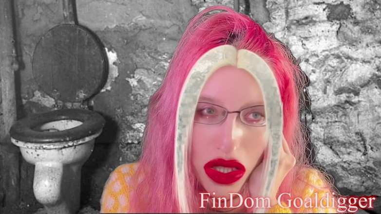 FinDom Goaldigger: ゴールドトイレの変身