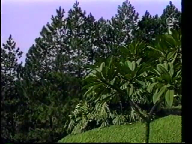 Gays Case: Ragazzo con culo stretto viene sbattuto in una gang da...