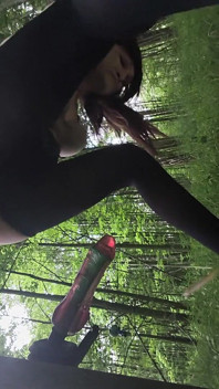 Saya pergi ke hutan untuk mendapatkan pokok