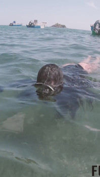 Caribbean Sea Receives Goddess Breathplay Mask Diving Glass