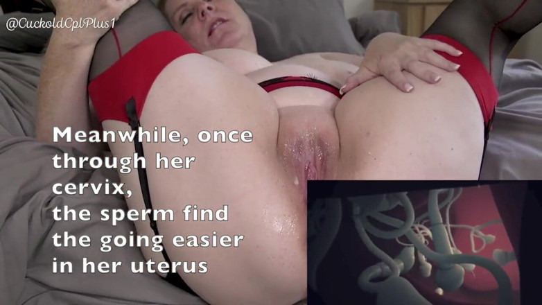 HotwifeRachel: Cuckold BBC Impregnation