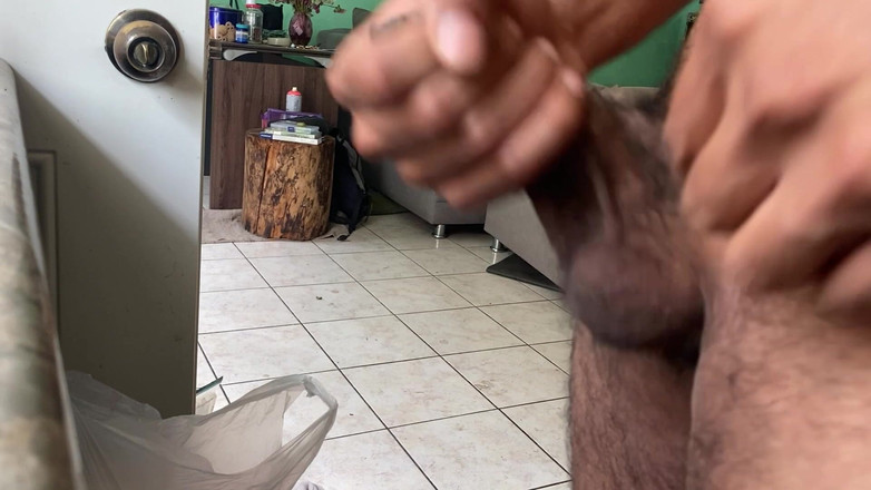 KING_TiBURON: キッチンで昼食の準備をする