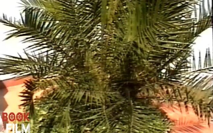 Temptation of pain: स्पेन में डार्क हॉलिडे कैप्टिव