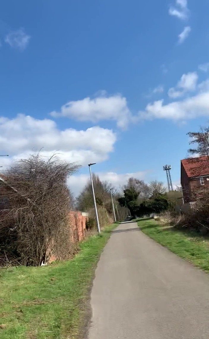 jay jenson: Khoe con cu của tôi trên đường phố