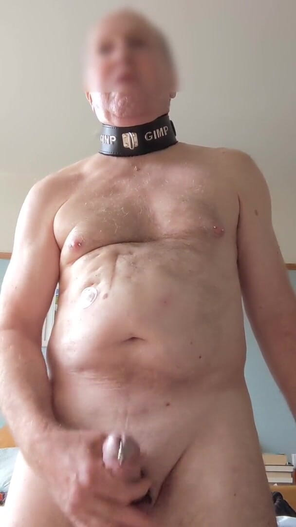 Bellhead: Gimp diversão ll