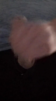 Cumshot in Zipper at Work