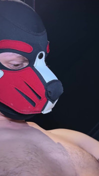 Projectystudios - pemandian tengah malam