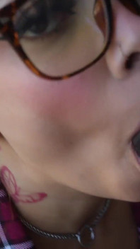 Schoolgirl the Stallion