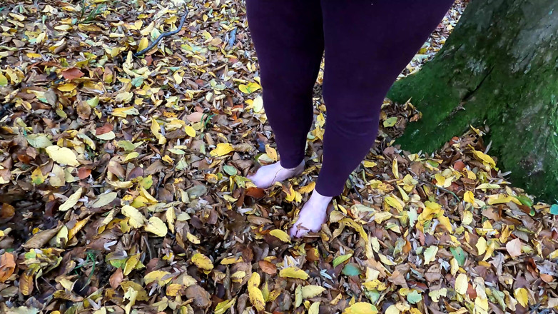 Bouncy Tits Action: Seni nudi puniti nella foresta