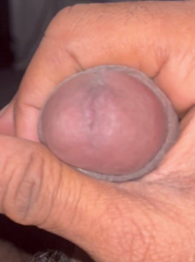 Jamaican Cock: Trước khi thả giường
