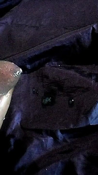 Jerking off at the Office Table 'wet Jizz of Sperm'