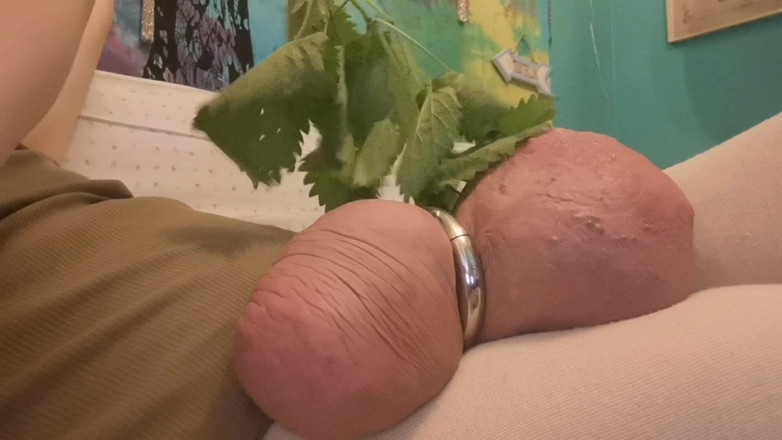 Monster_Meat_: Quase 30min de jogo de urtigas excêntricas de quase 30min