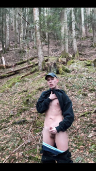 In the Forest