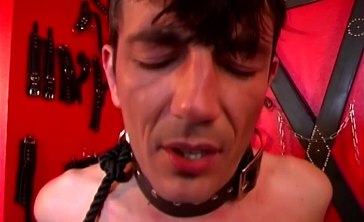BDSM6.CLUB: Dominerande MILFs peggar kragen slavar med tjocka strap-ons