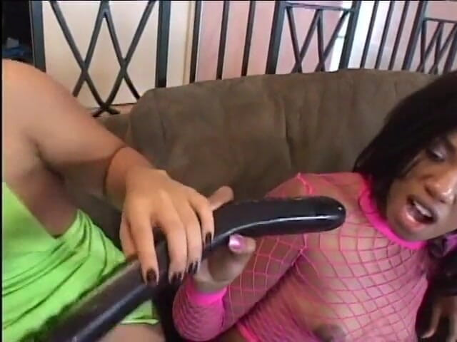 Girl on Girl: Lesbian hitam dengan tetek besar bermain peranan dan berkongkek dengan...