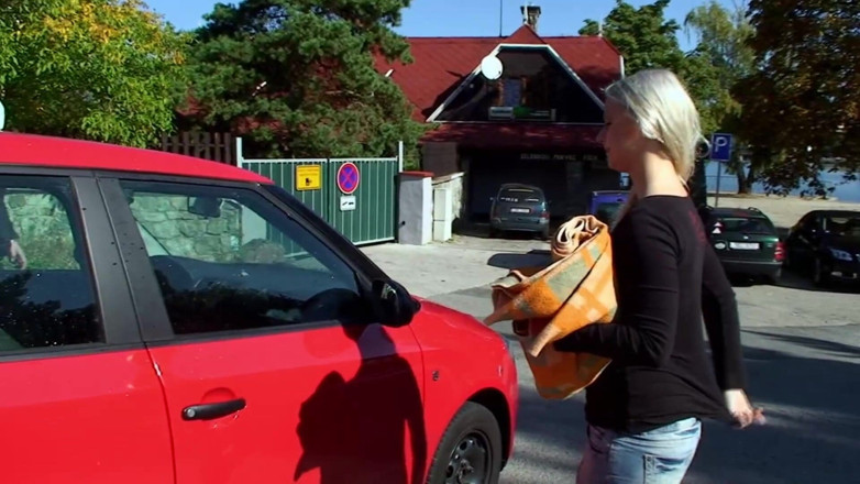 Public Entertainment: Sexe en plein air avec une MILF blonde sexy et...
