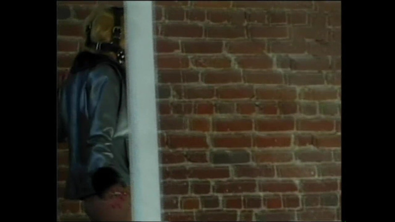 PURZEL TV - our best full movie: Perfekt zum Arschficken