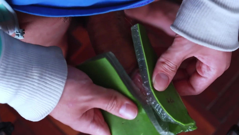 MGEc21: Menggunakan Aloe Vera sebagai fleshlight