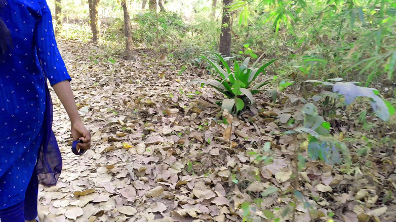 Ankush raj: Pasul meu a fost chemat în parc astăzi și a pus-o în cameră