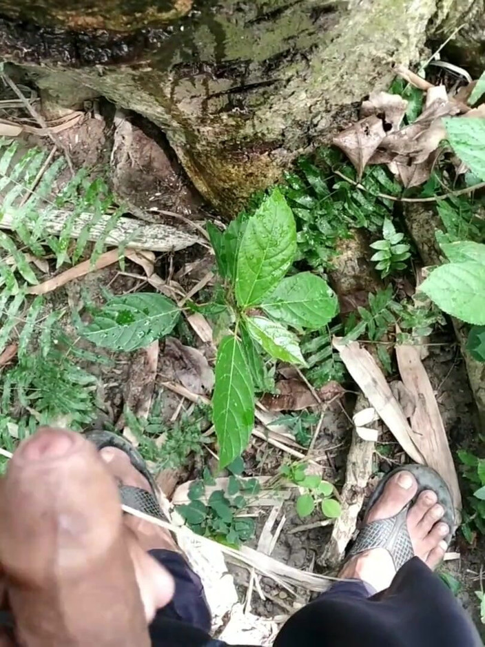 Desimast7: Stor kuk pissar på träd