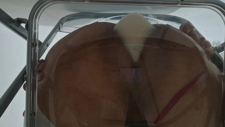 fermerino: Trans Fat Ass Gwen Facesitting and Anal Fucked with Creampie...
