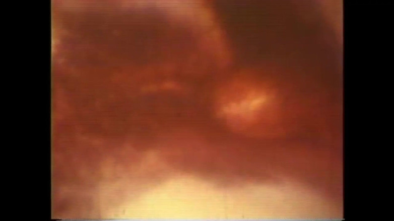 The Unforgettable: 公鸡猪和温暖者