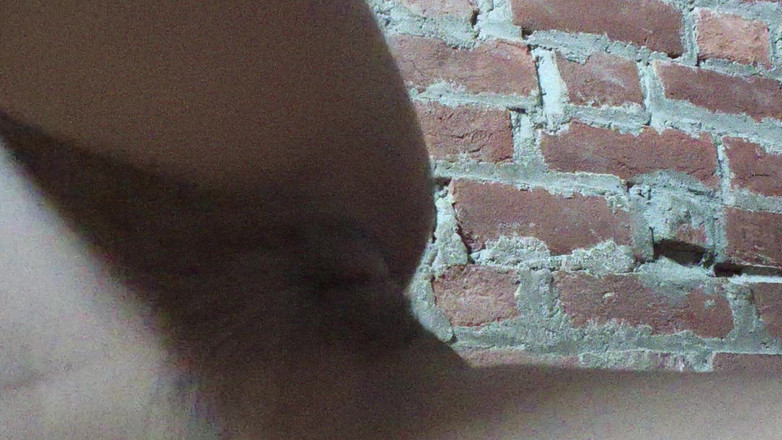 Moma: 섹시한 비디오