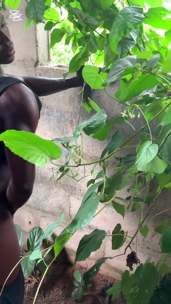 Sassypussyy:  Sassy 비디오 