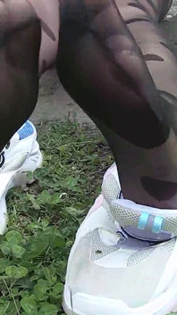 什么是最美丽的雏菊？