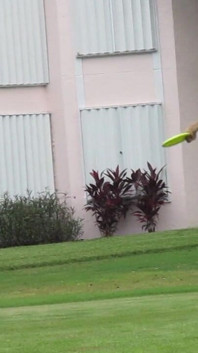 This Is Non-sexual, but It Is What Bailey Loves to Do While in Fl. One of Her Biggest Interests!