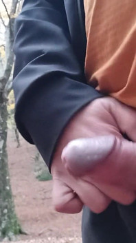Kissa i skogen
