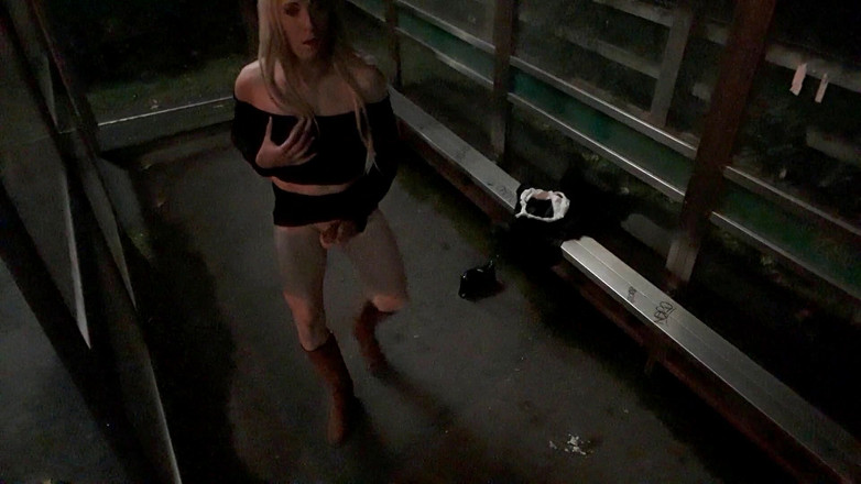 The Midnight Minx: バスシェルターの剥ぎ取り