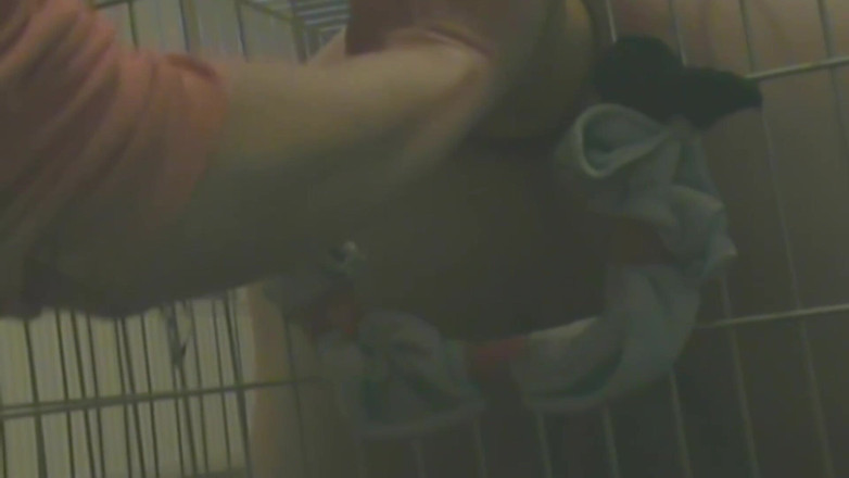 No limit cbt slave: Un Esclave En Cage Se Fait Utiliser Analement