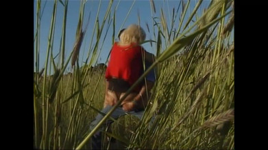 Purzel Official: 田舎の私はあなた