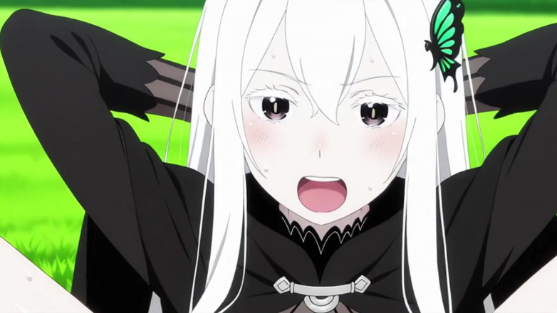 PRZNAI: Gà mái Rezero Echidna