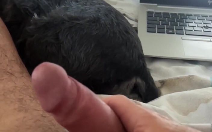 Daddybearvlc: Деякі види з-за камери!!