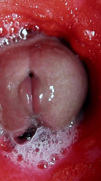 Die schönste interne orgasmus-nahaufnahme! Asmr großer cumshot!