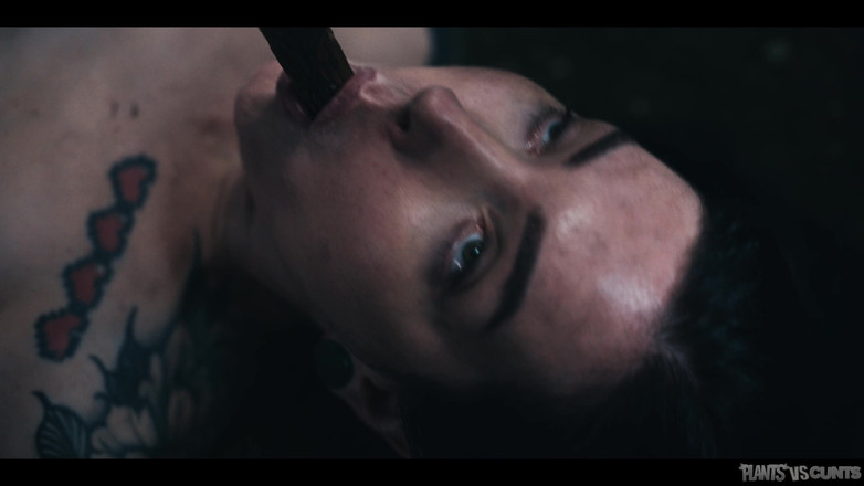 Plants vs Cunts: Книга проклятий