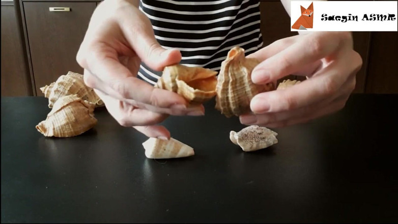 Saegin: 1[ASMR] Pocieranie razem i drapanie muszelek (bez rozmowy)