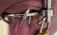 Chastity 1