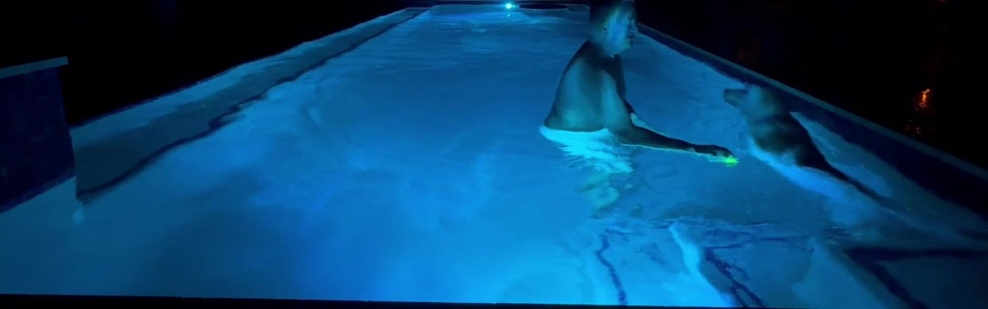 GottaLuvBB: Anyone Else Play Fetch Naked in the Pool?
