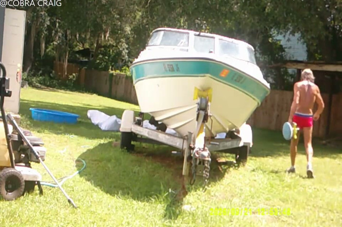 COBRA CRAIG: Color Restoration Goes Well and Cobras Tiny Bu Tt Cheeks...