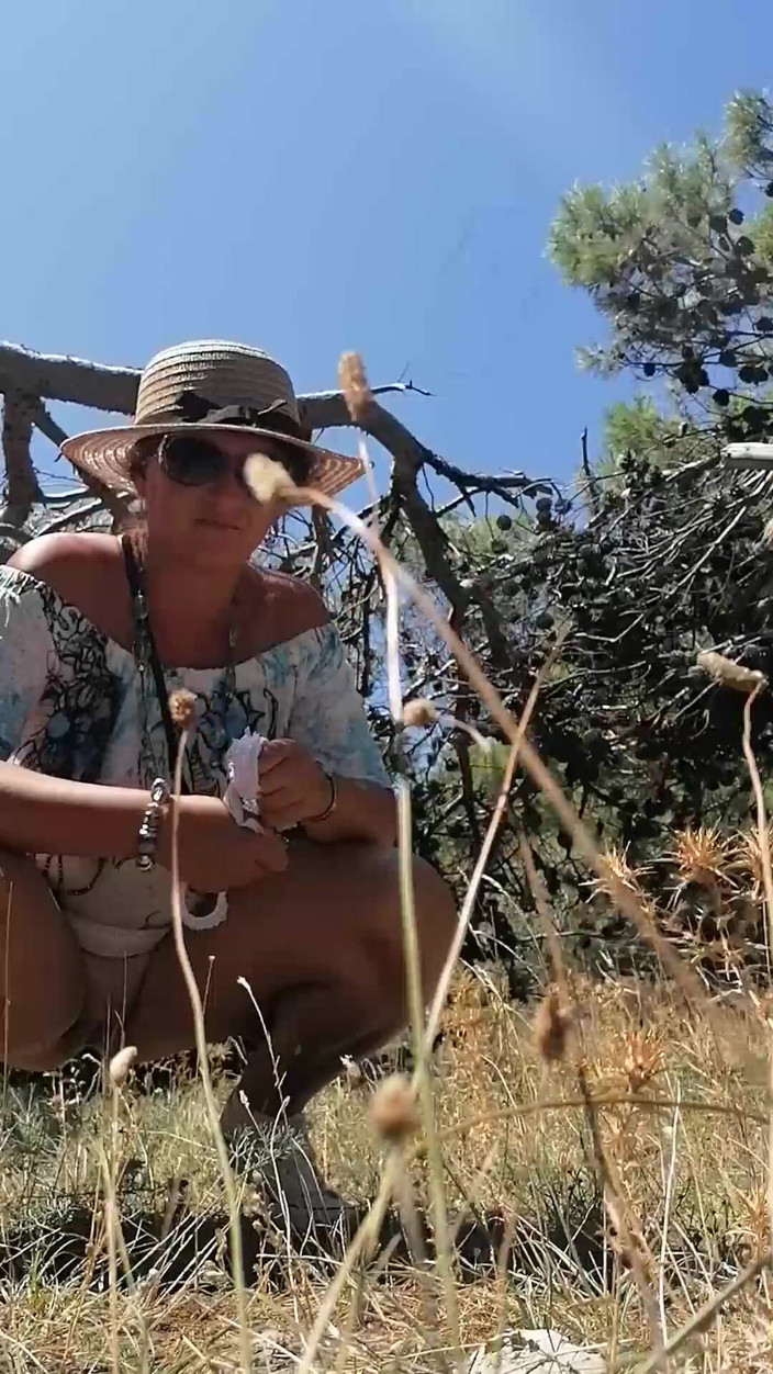 Nelly_Honey: 我在度假时做了多么美好的事！