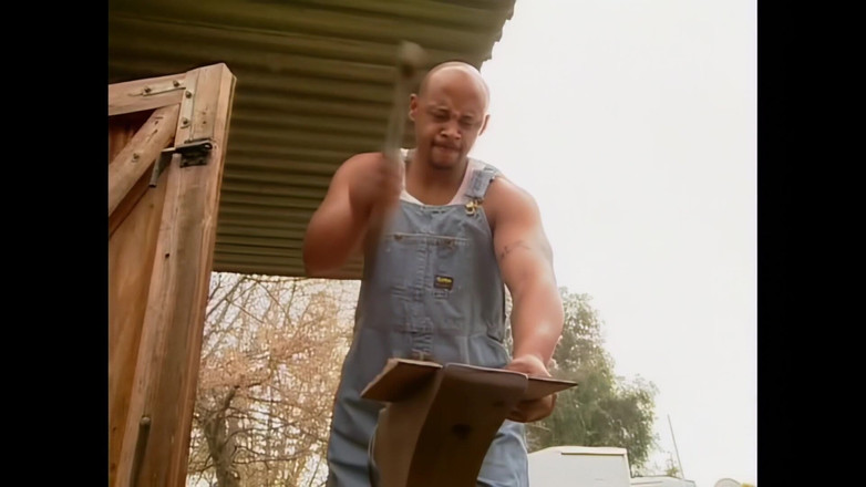 Blitzporn: Межрасовые избиения по милой возвышенной киске Даниэллы Раш