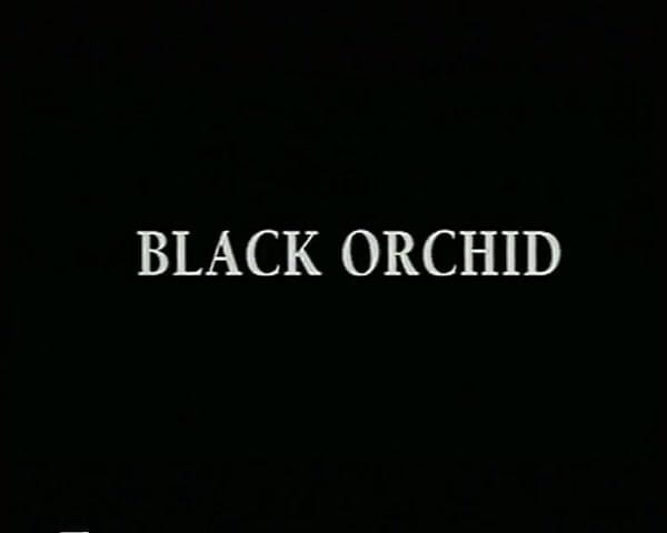 GERMAN PORN CLASSICS: Orhidee neagră
