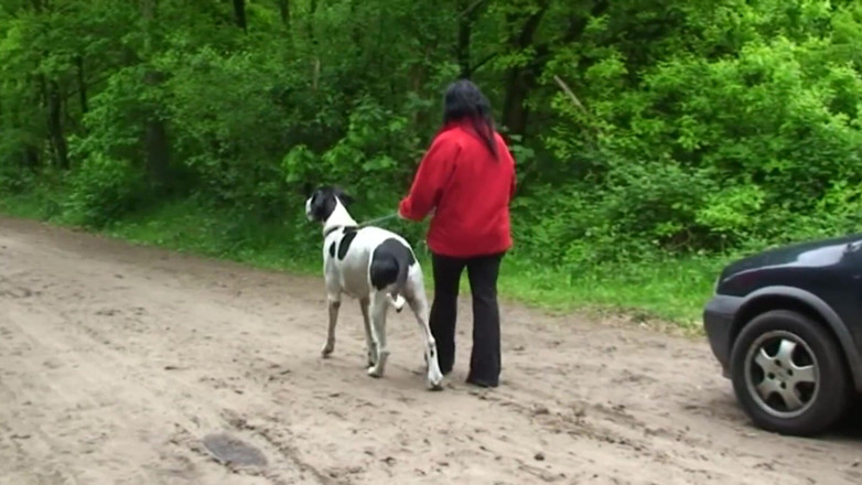 Public Entertainment: Chubby and horny brunette was walking her pet when she...
