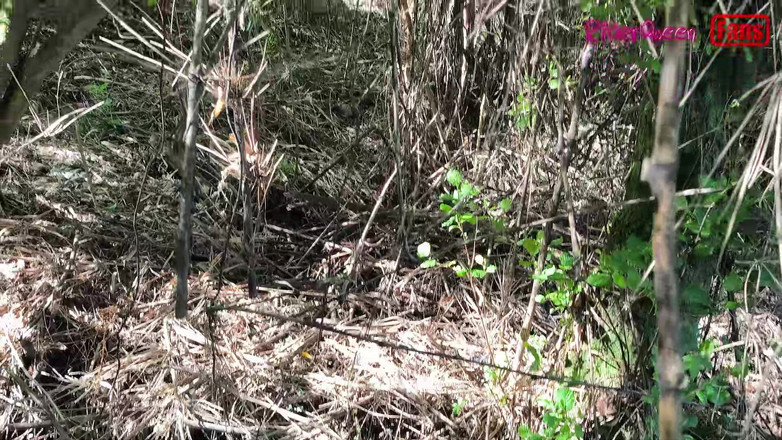 Riderqueen: 내 팬들을 위한 여행 모험, 비디오