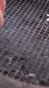 Wunderschönes gesicht, stilvolle sylvia chrystall, körper, raucht nackt auf der Terrasse.